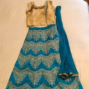 Indian Womens Dress - Lengha Choli